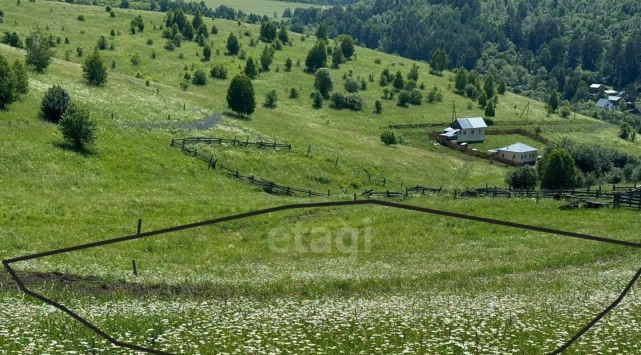 земля р-н Майминский с Кызыл-Озек фото 2