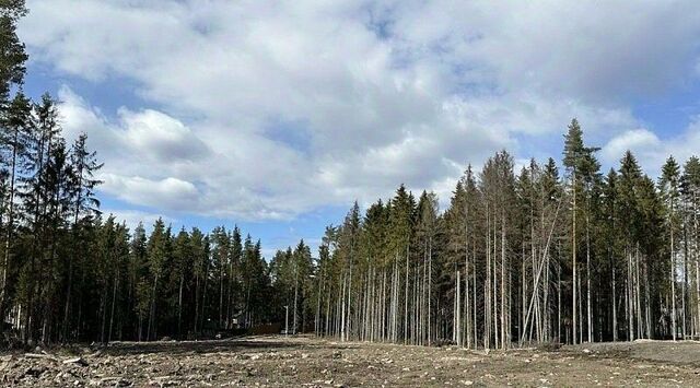 земля массив Мертуть снт Лесная поляна ул Абрикосовая Сертоловское городское поселение, Беговая фото