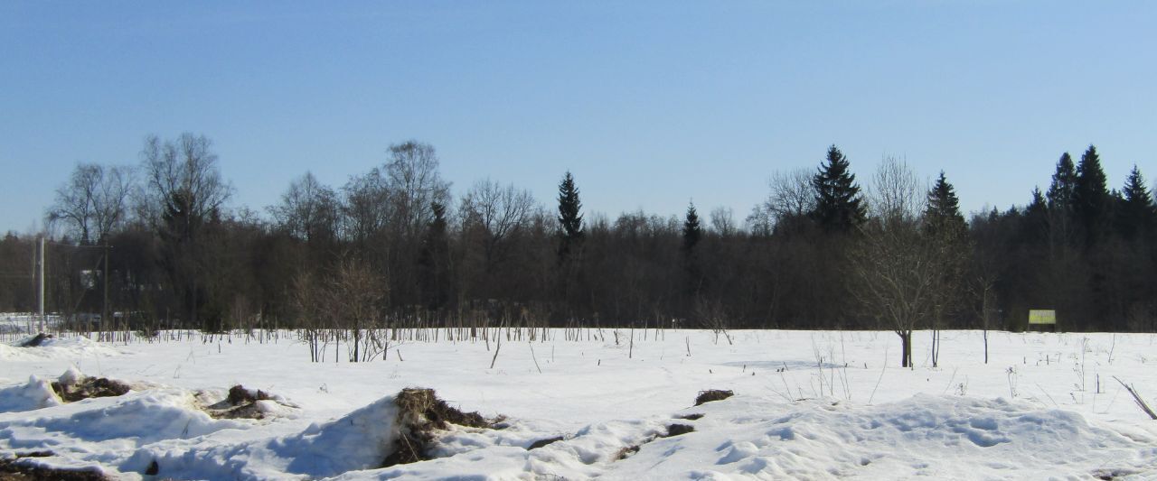 офис городской округ Рузский п Старо фото 1