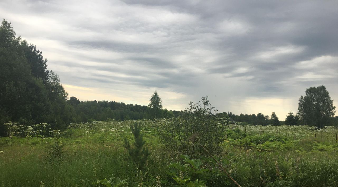 офис городской округ Пушкинский д Герасимиха фото 3