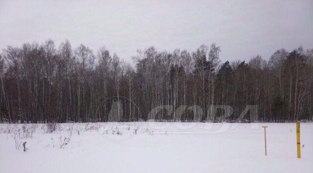 земля р-н Центральный пл Центральная фото