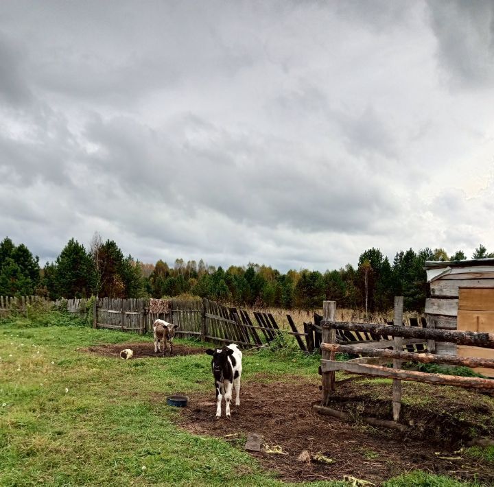 дом р-н Кусинский п Ковали ул Труда 41 Магнитское городское поселение фото 10