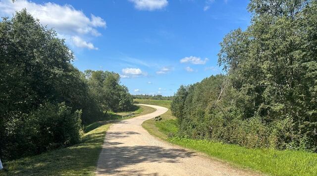 городской округ Клин д Вертково фото