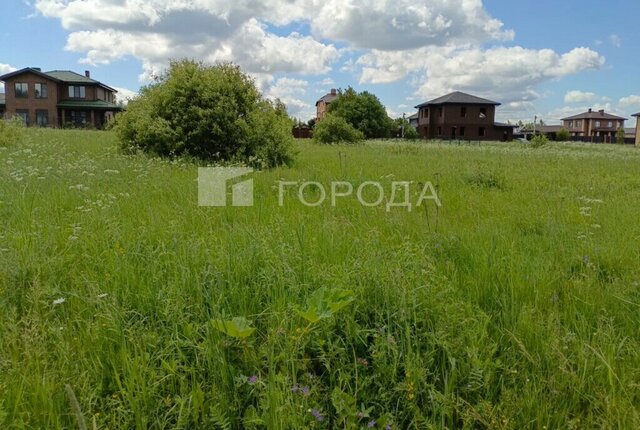 городской округ Дмитровский д Благовещенское фото