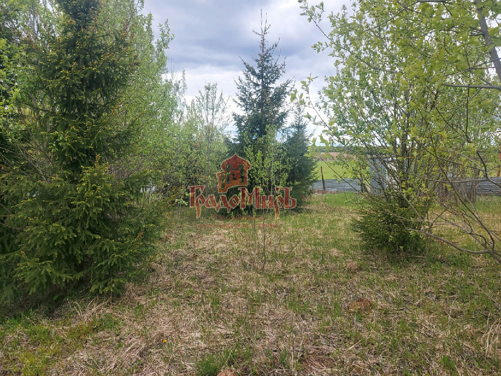 земля городской округ Сергиево-Посадский д Царевское фото 4