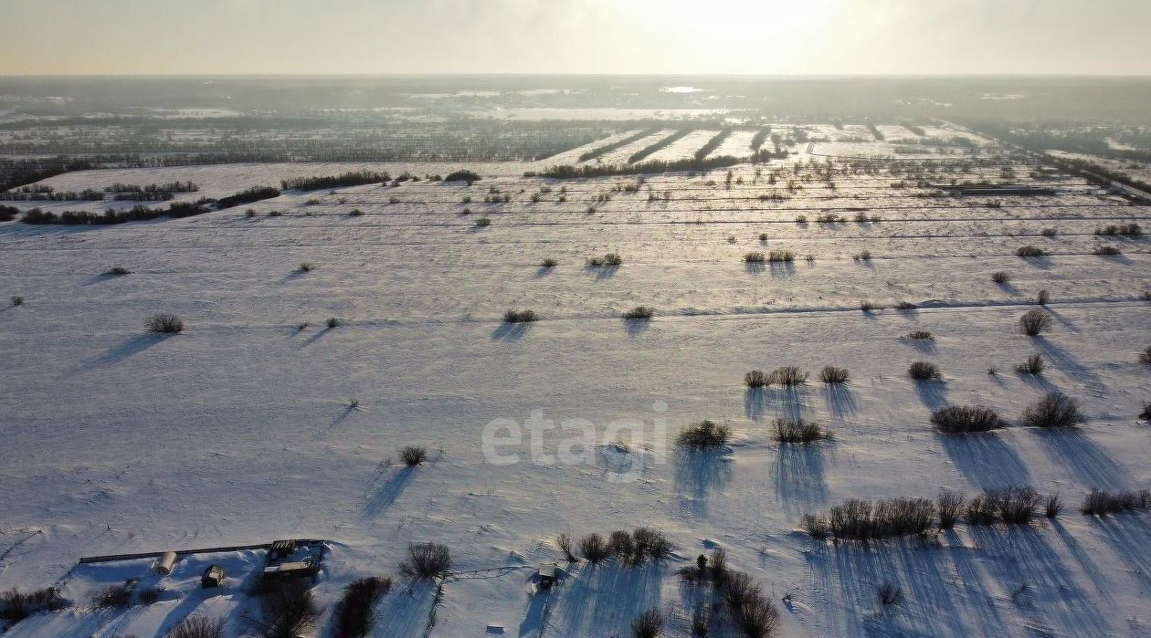 земля г Архангельск п Турдеевск р-н Исакогорский округ фото 4