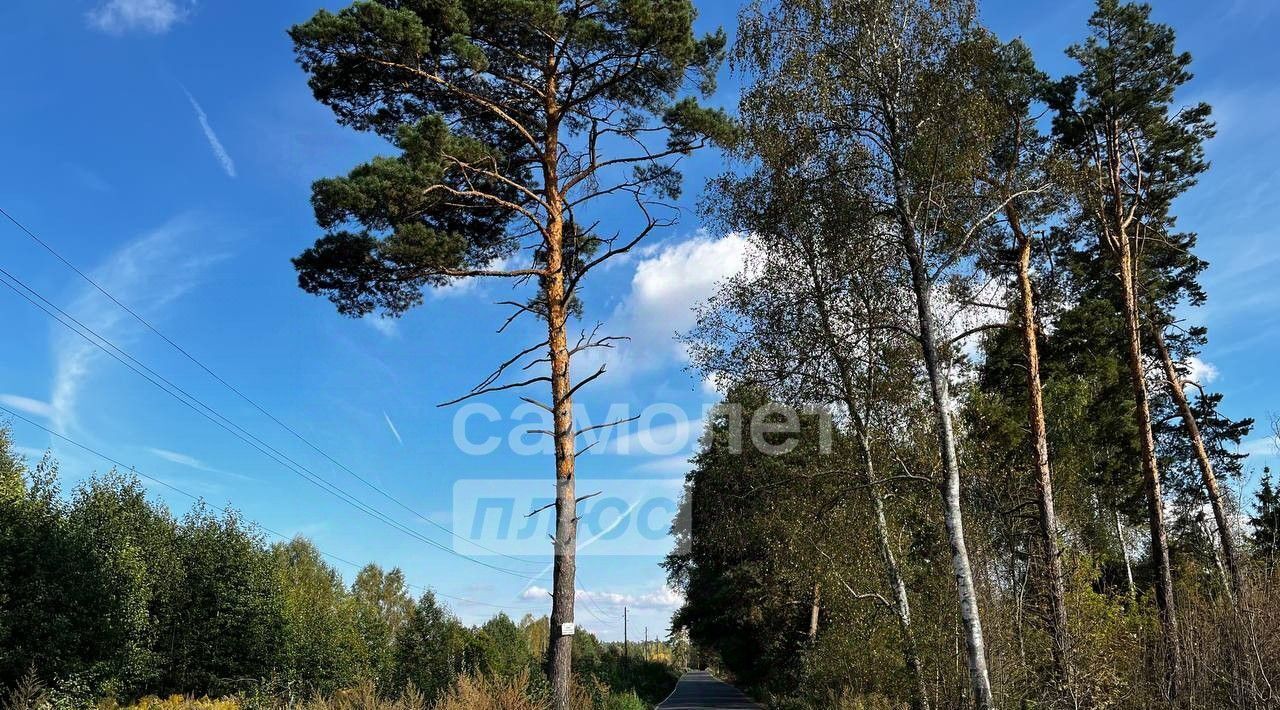 дом городской округ Богородский г Ногинск снт Ромашка 863 фото 2