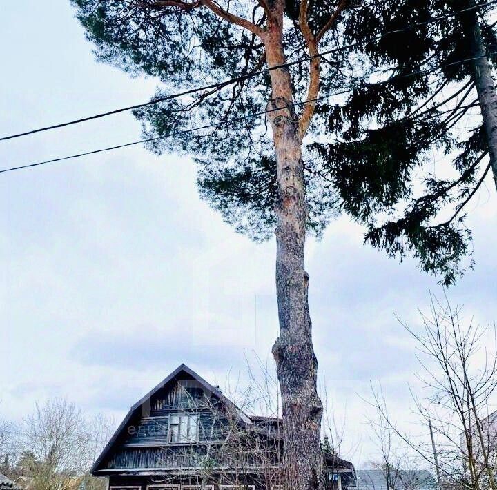 дом р-н Всеволожский снт Полиграфист Юкковское с/пос, ул. Печатников фото 6