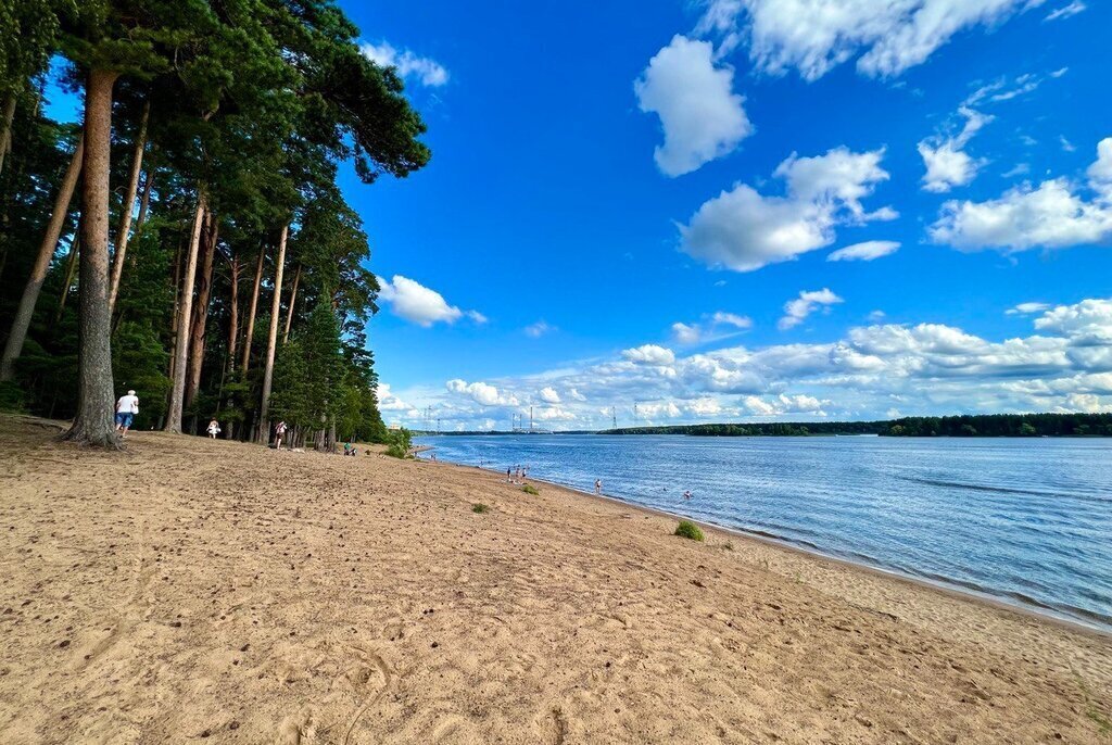 дом р-н Конаковский г Конаково ул Зеленый Бор фото 28