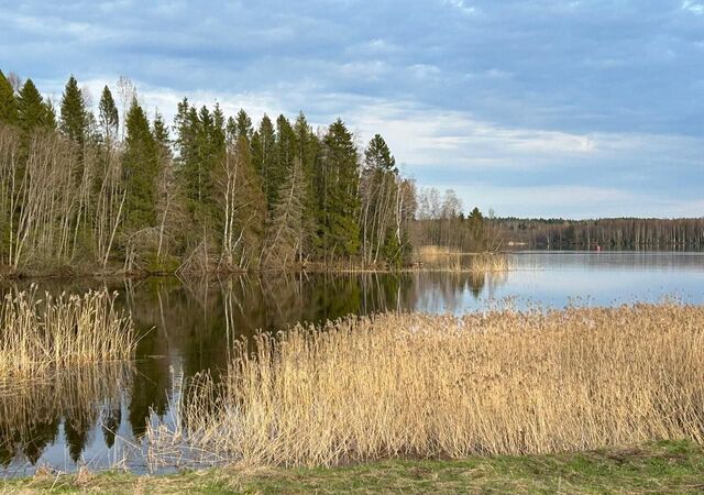 Кириллов фото