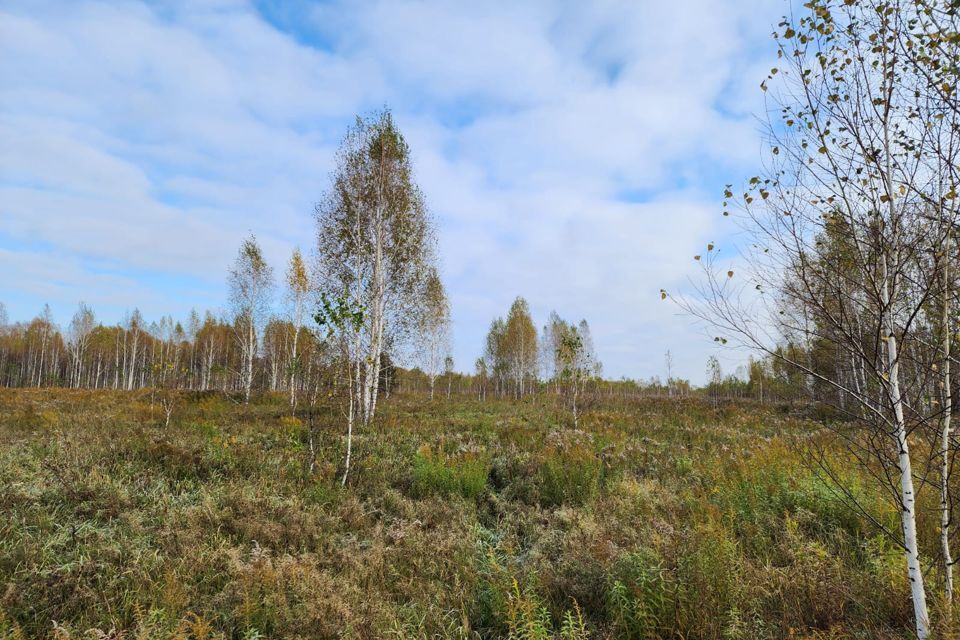 земля р-н Новосибирский фото 10