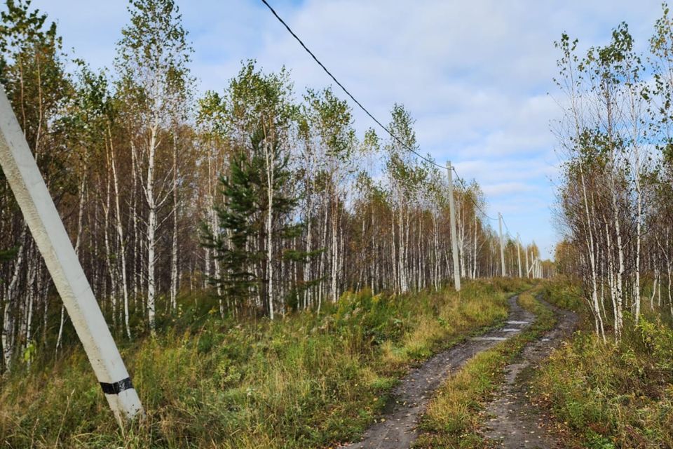 земля р-н Новосибирский фото 7