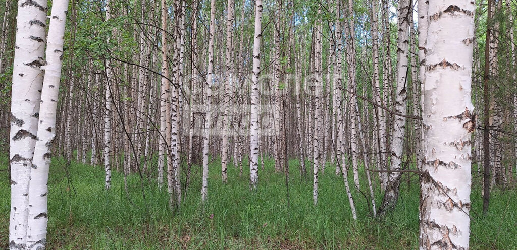 дом р-н Сокольский д Слободки ул Садовая фото 16