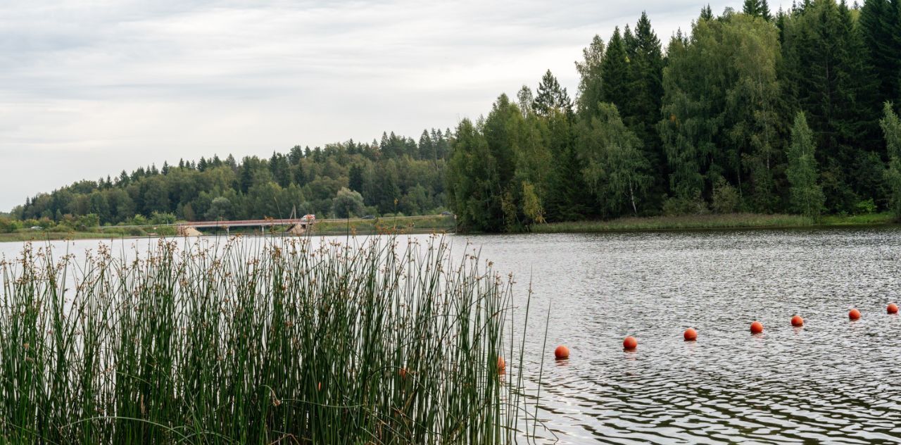 дом городской округ Солнечногорск д Полежайки ул. Мечтателей, 14 фото 36