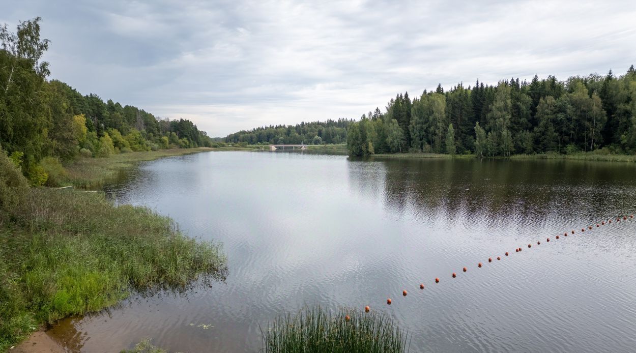 дом городской округ Солнечногорск д Полежайки ул. Мечтателей, 14 фото 35