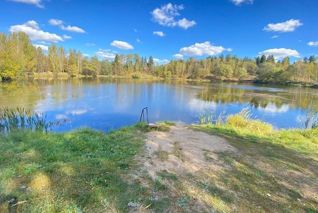 земля рп Большие Вязёмы снт Солнечное Одинцово, 258 фото