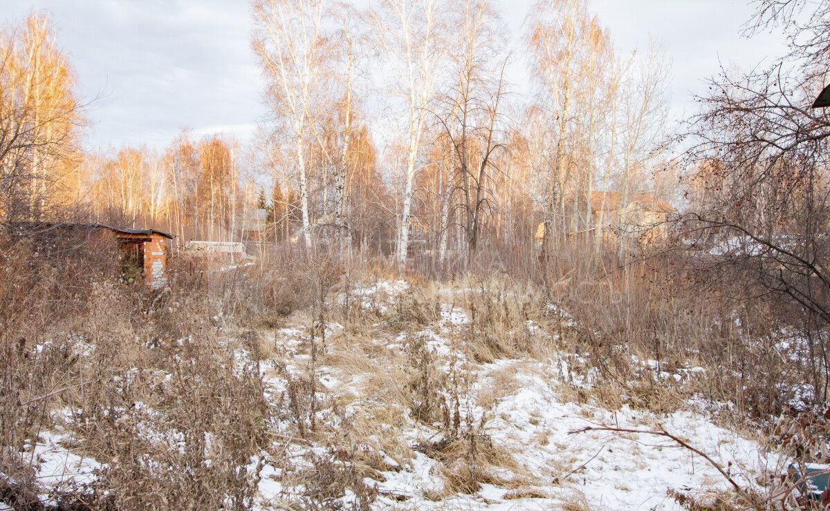 земля г Тюмень р-н Калининский фото 1