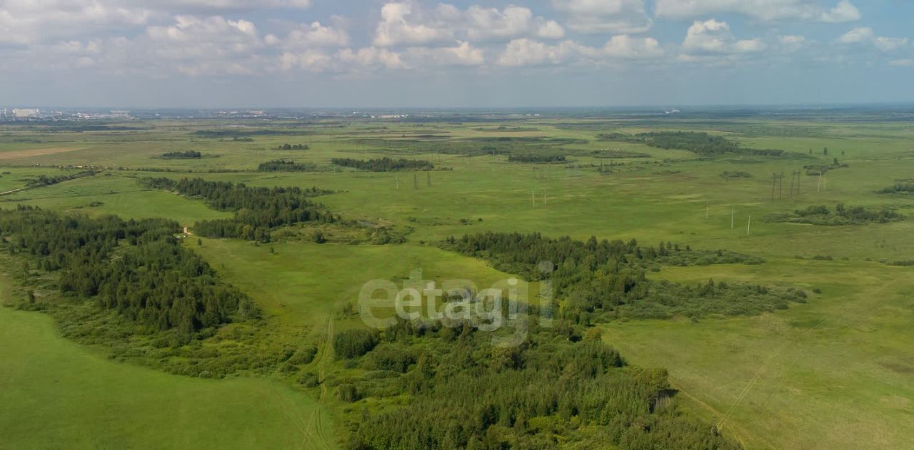 земля р-н Тюменский с Яр фото 9