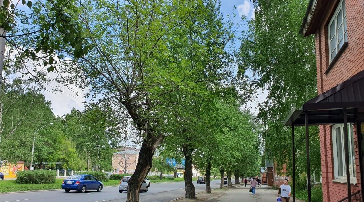 торговое помещение г Барнаул р-н Октябрьский пр-кт Ленина 185 фото 5