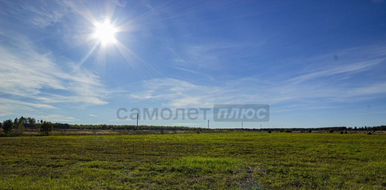 земля городской округ Можайский д Телятьево фото 4