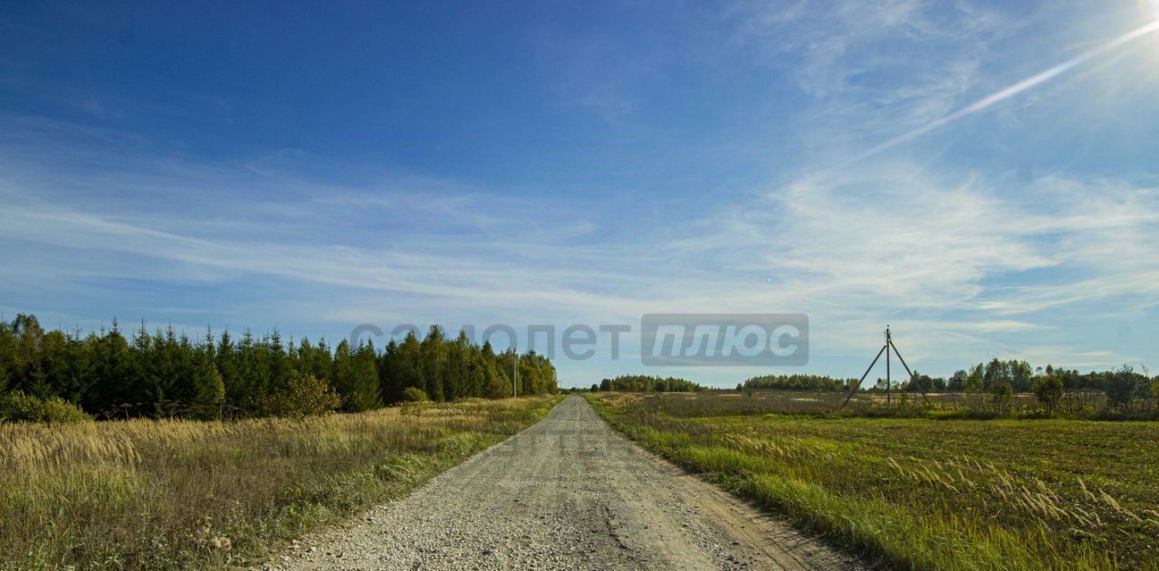 земля городской округ Можайский д Телятьево фото 10