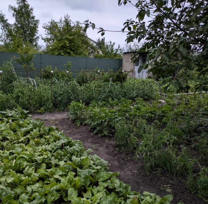 дом р-н Старооскольский снт Дубрава 580, Старооскольский городской округ фото 10