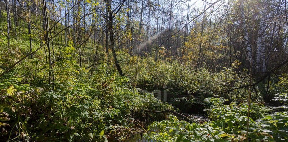 земля г Новокузнецк р-н Орджоникидзевский снт Шахтостроитель фото 11