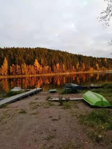 СПК Ладожский территория, б/н фото