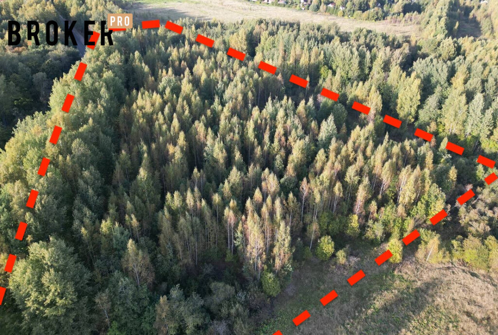 земля р-н Выборгский Первомайское сельское поселение фото 6