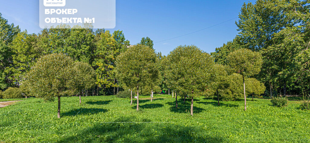 квартира г Санкт-Петербург метро Проспект Славы ул Бухарестская 94к/6 фото 24