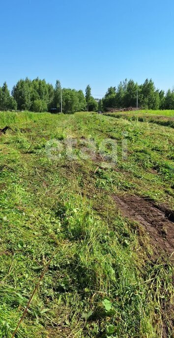 земля деревня Варваровка фото 4