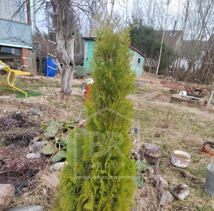 дом р-н Кировский массив Восход снт Кировец-3 Синявинское городское поселение, Улица Дыбенко, аллея 2-я фото 4