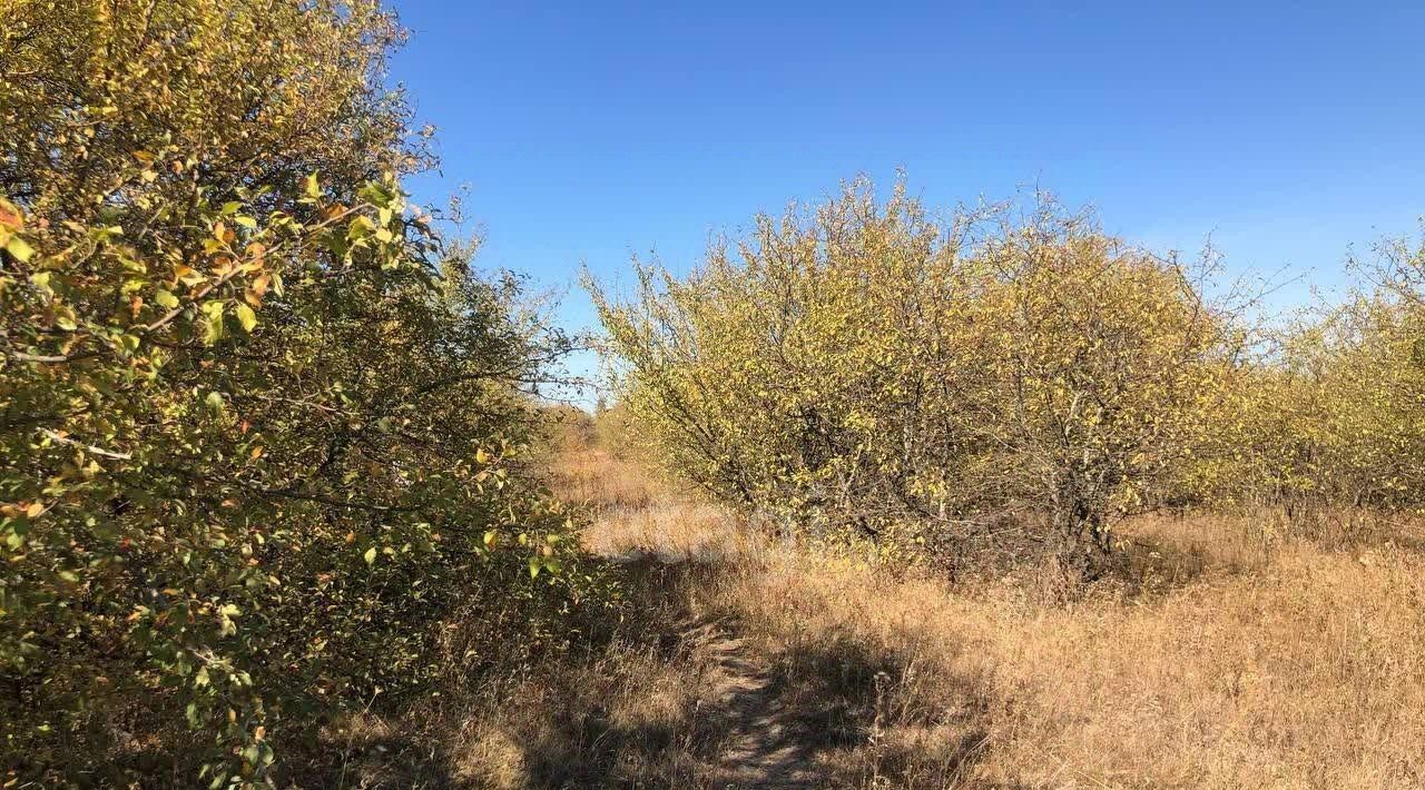 земля р-н Белгородский с Репное Дубовское с/пос, ул. Рассветная фото 1