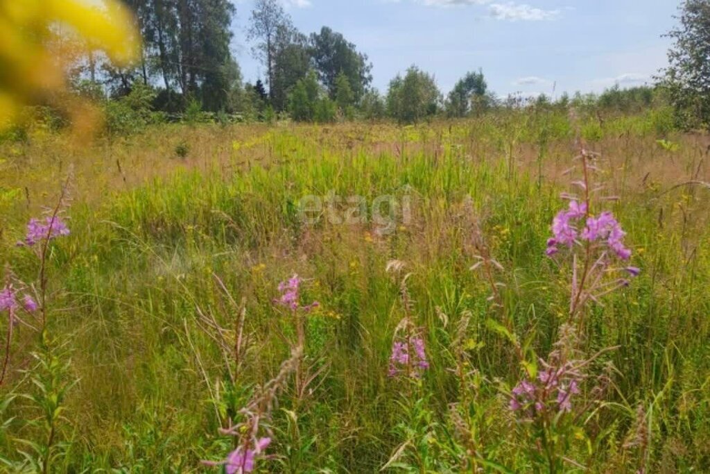 земля р-н Пригородный п Висим ул Большевистская фото 2