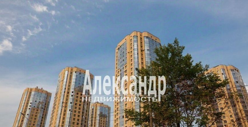 квартира г Санкт-Петербург метро Проспект Просвещения ш Выборгское 17к/1 фото 3