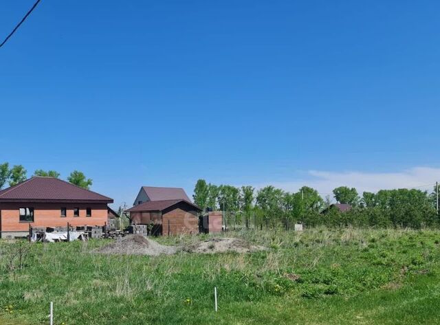 п Семеновод ул Восточная фото