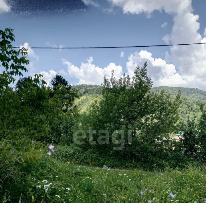 земля р-н Алтайский с Алтайское ул Сосновая фото 8