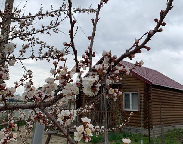 ст-ца Нижнекундрюченская ул Центральная фото