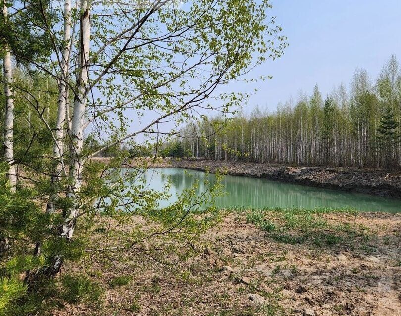 земля р-н Нижнетавдинский СНТ Геолог-2 фото 1