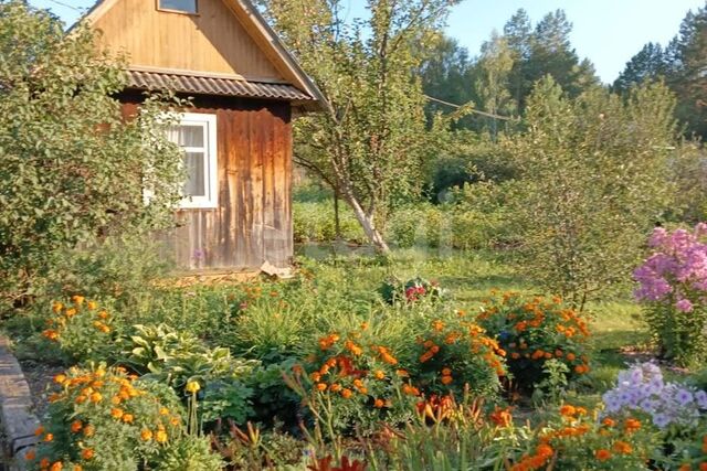 муниципальное образование Город Алапаевск, коллективный сад № 2 АУЖД фото