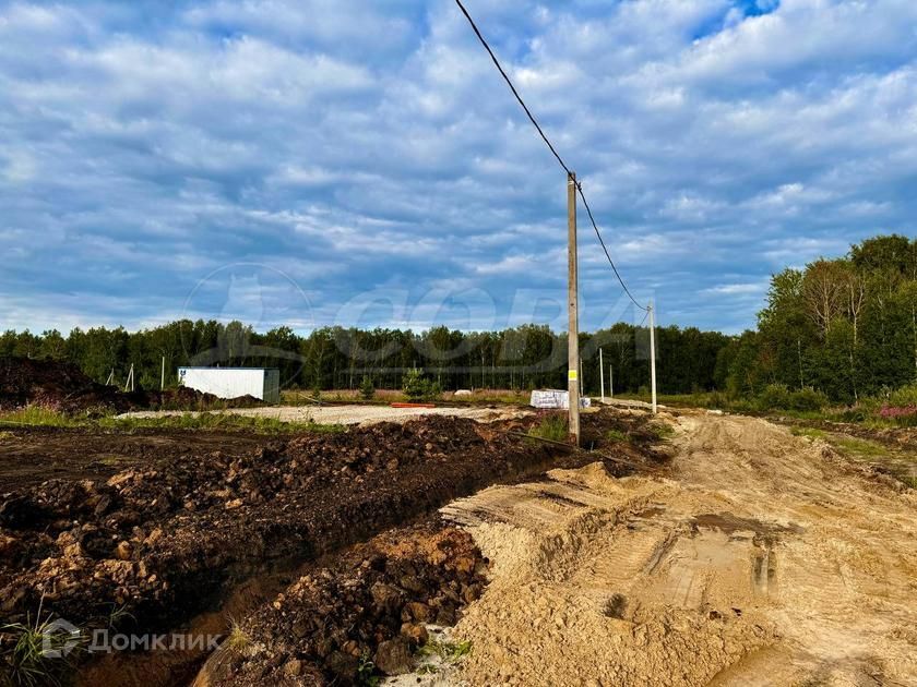 земля р-н Тюменский деревня Елань фото 4