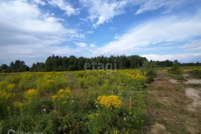 р-н Городецкий деревня Максимовское фото