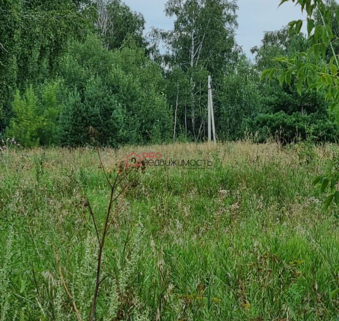 земля г Бердск городской округ Бердск, микрорайон Раздольный фото 3