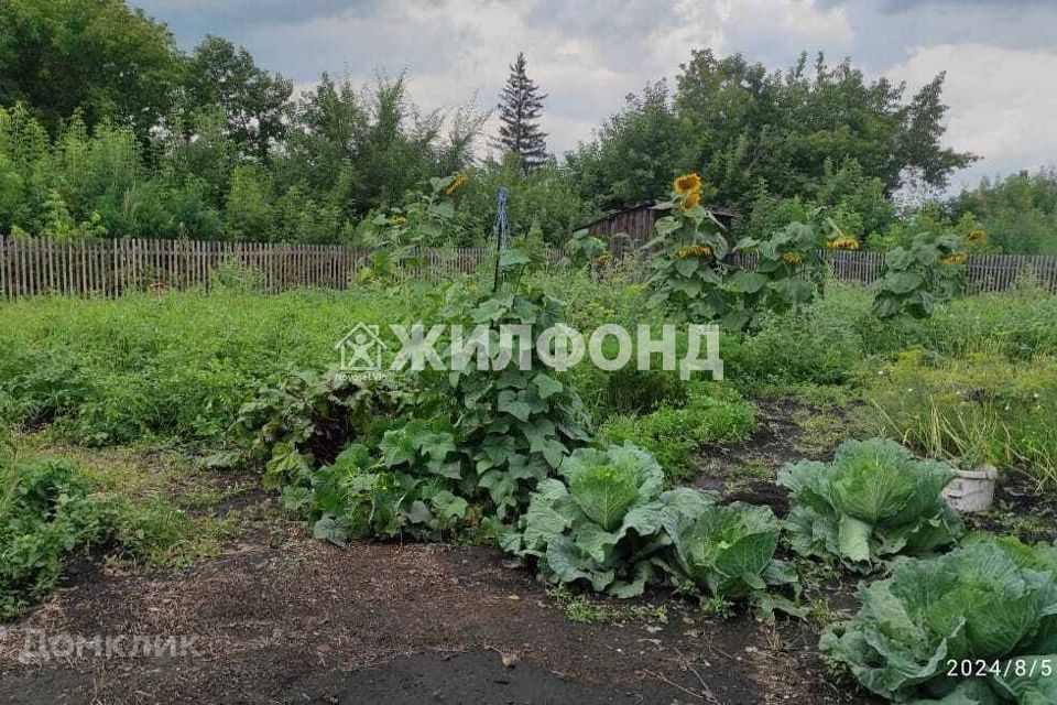 дом г Белово Кемеровская область — Кузбасс, Чертинский, Беловский городской округ фото 4