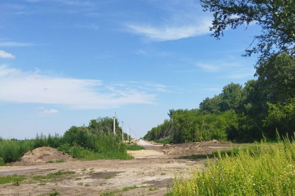 земля г Барнаул п Черницк р-н Центральный городской округ Барнаул, Набережная, 33 фото 4