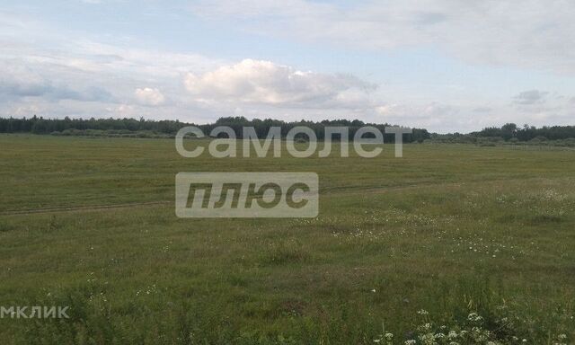 земля село Богандинское фото