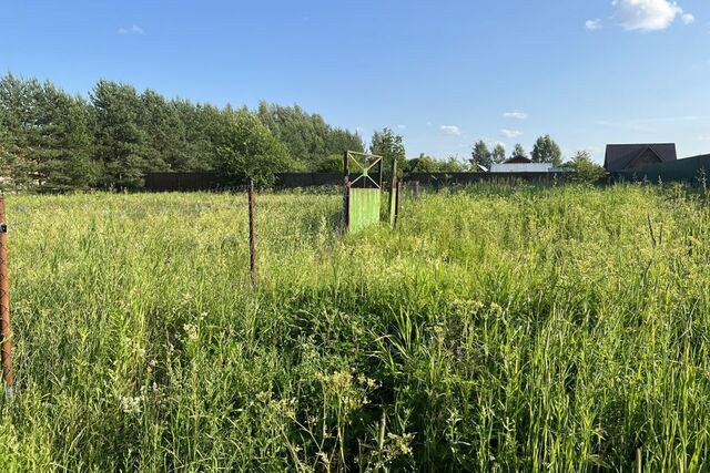 городской округ Переславль-Залесский, деревня Ширяйка фото