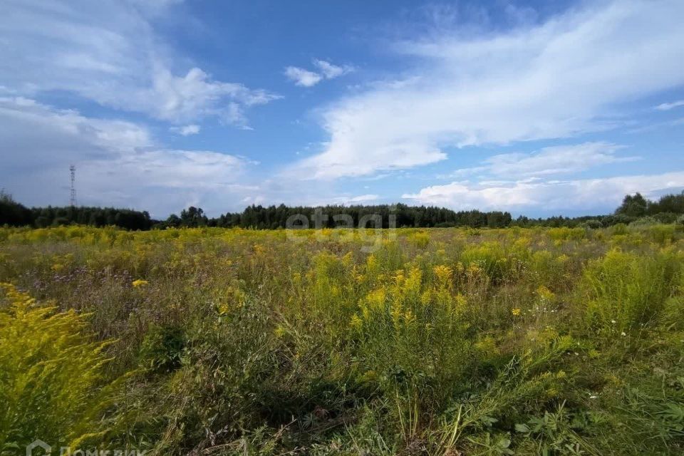 земля р-н Городецкий деревня Максимовское фото 3