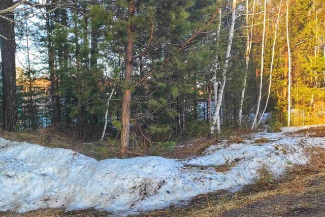 р-н Малопургинский фото