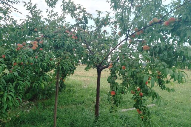 ст-ца Медведовская ул Продольная Медведовское сельское поселение фото